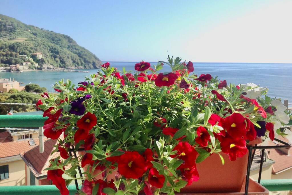 Splendido Appartamento Vista Mare ليفانتو المظهر الخارجي الصورة